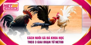 Cách nuôi gà đá