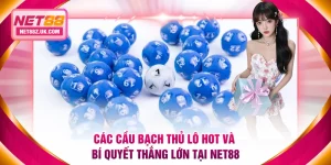 Cầu bạch thủ lô