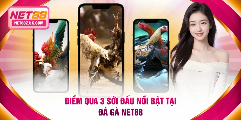 Điểm qua 3 sới đấu nổi bật tại đá gà NET88