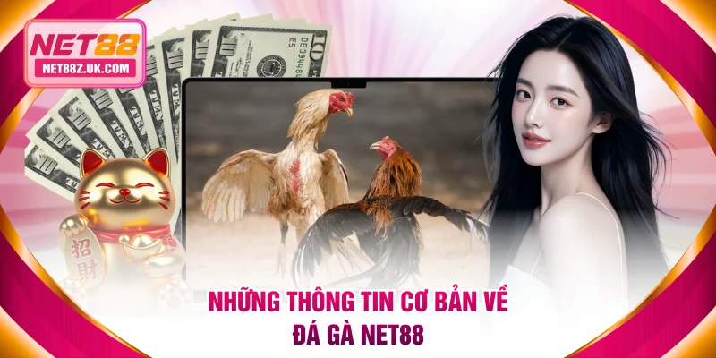 Những thông tin cơ bản về đá gà NET88