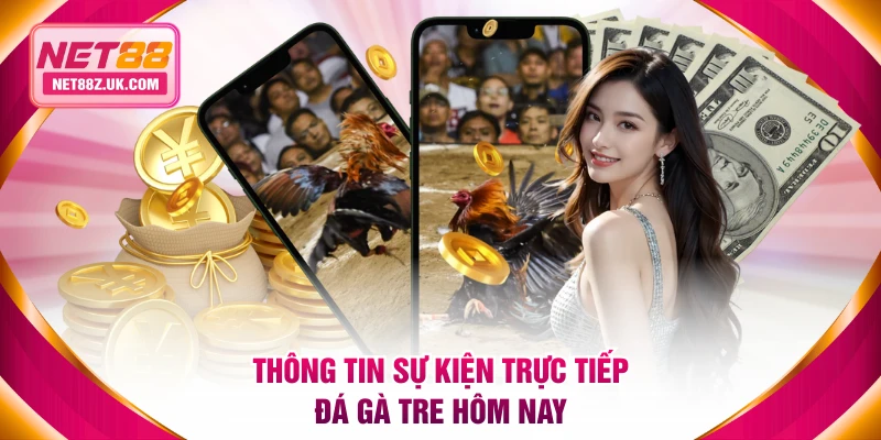 Thông tin sự kiện trực tiếp đá gà tre hôm nay