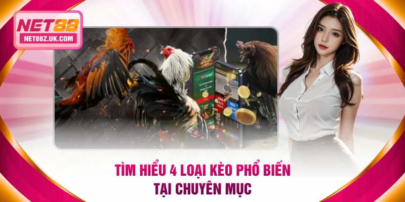 Tìm hiểu 4 loại kèo phổ biến tại chuyên mục