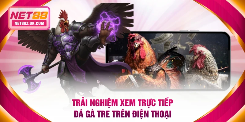 Trải nghiệm xem trực tiếp đá gà tre trên điện thoại